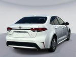 2020 Toyota Corolla L