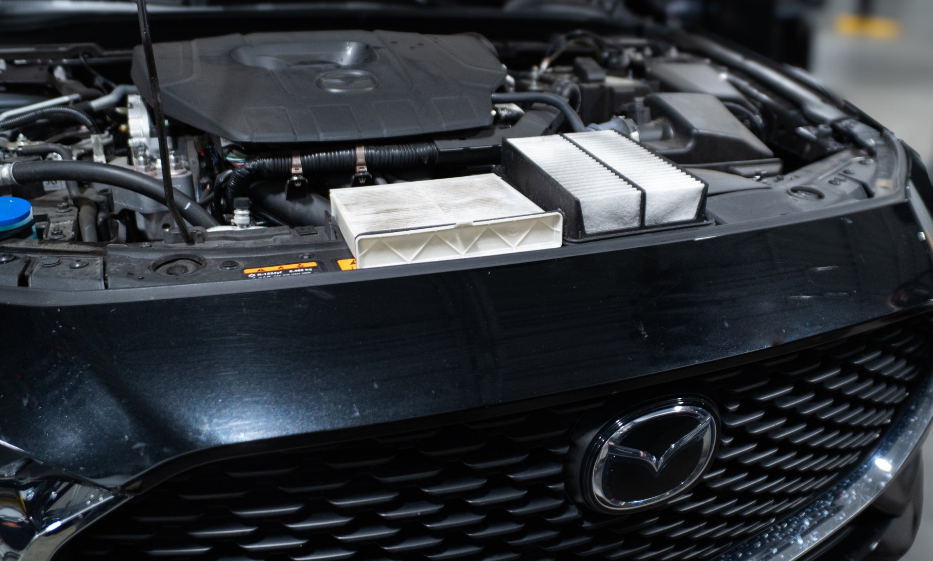 CABIN OR AIR FILTER DISCOUNT